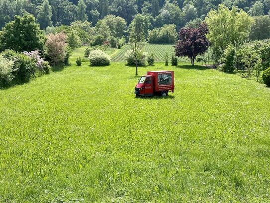 Grundstück in ruhiger Lage bietet viele Möglichkeiten