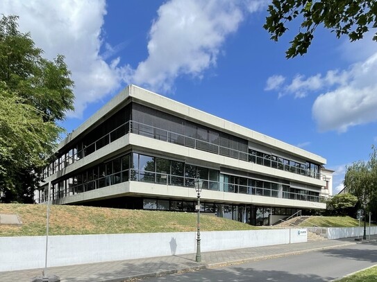 Moderne Büroflächen mit unverbaubarem Rheinblick