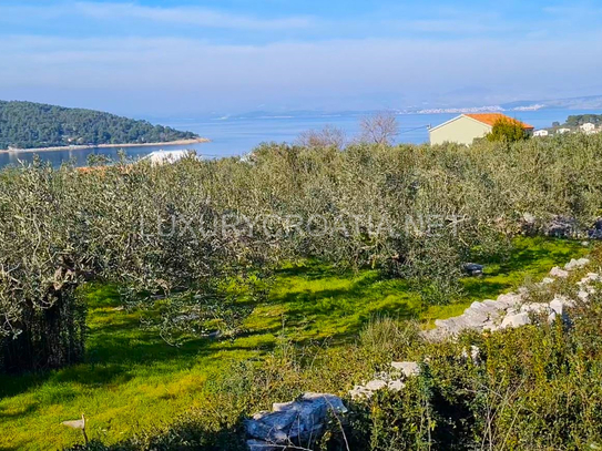 Baugrundstück mit Meerblick zu verkaufen Kroatien Insel Split Solta