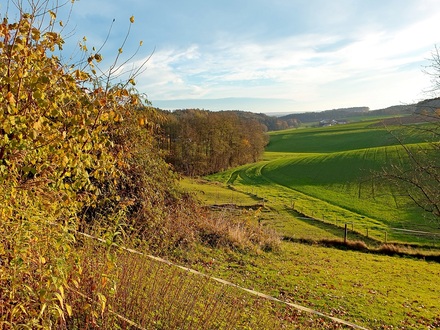 *** VORANKÜNDIGUNG *** BAUERNSACHERL IN TRAUMHAFTER ALLEINLAGE UND MIT HERRLICHEM ALPENBLICK - CA. 600 M² WOHN- UND NUT…