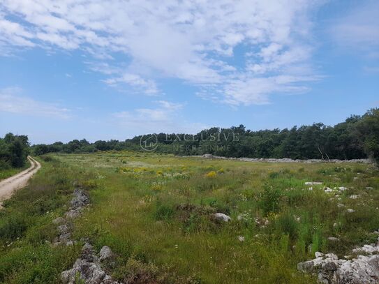 Grundstück Rovinj, 21.206m2