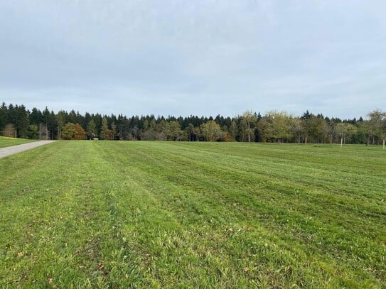 Ebenes, ruhiges Baugrundstück in zentraler Lage in Herzogsweiler