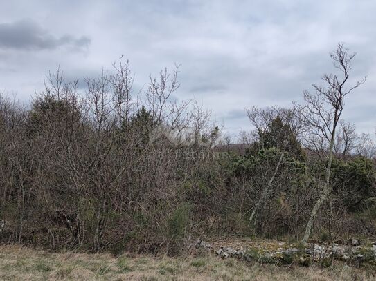 INSEL KRK, breiteres Gebiet der Stadt Krk - Land mit Wald