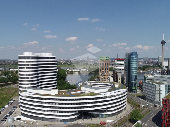 myHive Alto im Medienhafen | spektakuläre Aussicht & Flexibilität I provisionsfrei anmieten