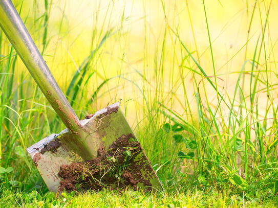 Bauprojekt starten: Grundstück in Baierbach