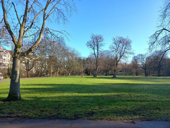 3-ZW mit Balkon, Einbauküche und Blick auf den Inselwallpark und die Oker