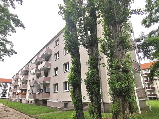 3 Raumwohnung für Ihre kleine Familie