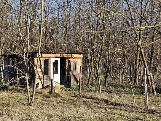 0,4 Hektar großes Grundstück mit Wald in der Nähe des Plattensees zu verkaufen