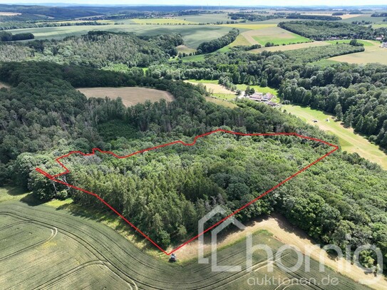 Natürlicher Eichen- und Buchenmischwald (ca. 3,6 ha) zw. Dresden und Nossen