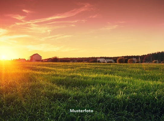 Land-, Wasser- und Forstwirtschaftsflächen, sowie Futterwiese