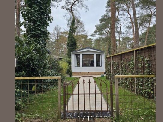 Schones chalet auf der Veluwe (2729)