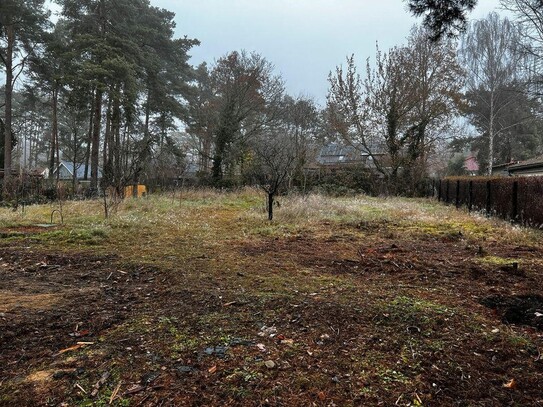 Schönes Baugrundstück in Zernsdorf - Vollerschlossen