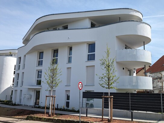 Moderne und helle 2,5-Zimmer-Wohnung - Garten & Süd-Terrasse (BJ 2023)