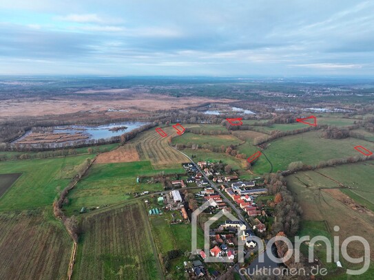 Acker und Grünland (ca. 2,4 ha) zw. Wittichenau und Hoyerswerda