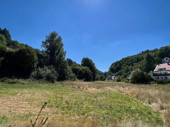 +++ Für Naturliebhaber und Bauherren: 23432 m² fast ebenes und sonniges Grundstück mit Bachlauf +++