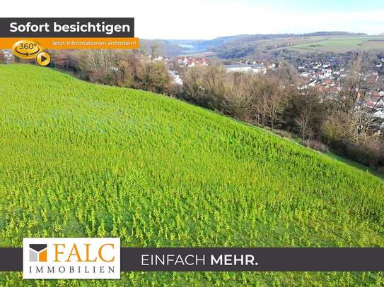 *BAU MICH* Der vielleicht beste Bauplatz! - Riesen Grundstück! - FALC Immobilien Heilbronn