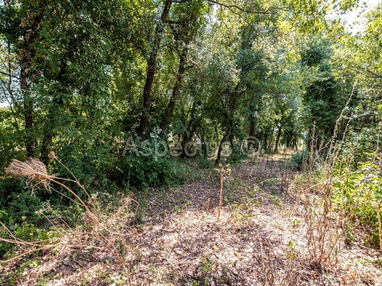 Bauland + landwirtschaftliches Land, nahe Pula, in der Nähe von Marčana