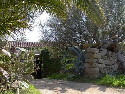 Wildromantische Ferienwohnung in Sardinien Costa Smeralda - little hideaway - 5 Ferienwohnungen in der alten Mühle!