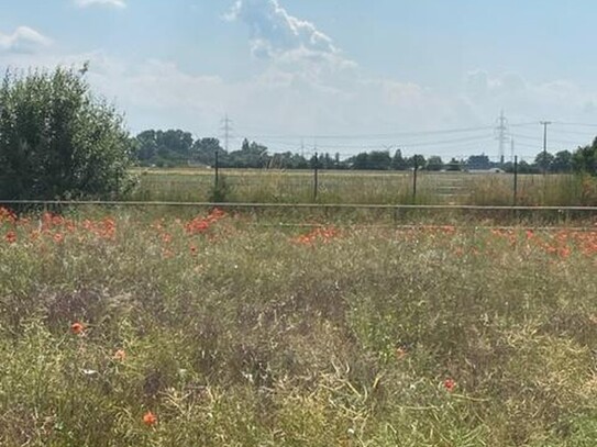 Schönes Grundstück mit weitem Blick in die Natur