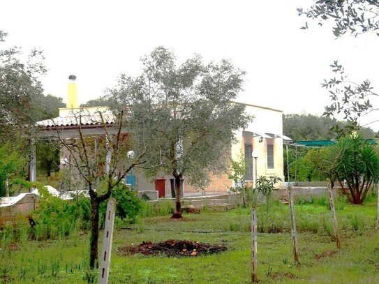 Ferienimmobilie: kleine Biolandwirtschaft in Apulien (I)