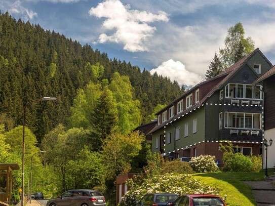 Ruhig gelegen: Wohnen am Berg in Lautenthal, 4-Zi-Wohnung mit Balkon und Garage