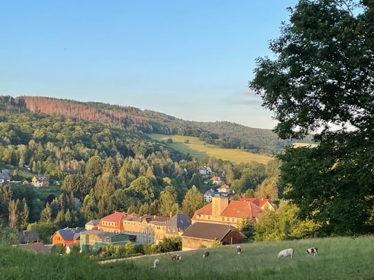 Wohnlage zum Verlieben!