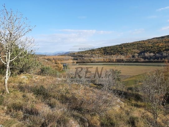 Landen Sie auf einem Hügel mit Blick auf Motovun