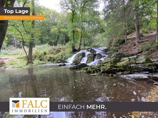 Jagdgrundstück im Nationalpark Harz: Natur-Wald im Selketal gegenüber Wasserfall 29.485 m²