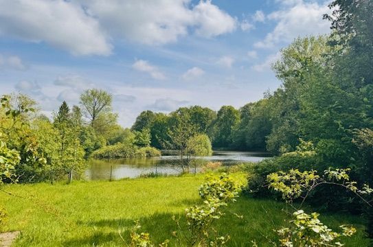 Das Haus am See... Ebenerdig wohnen mit traumhaftem Seeblick