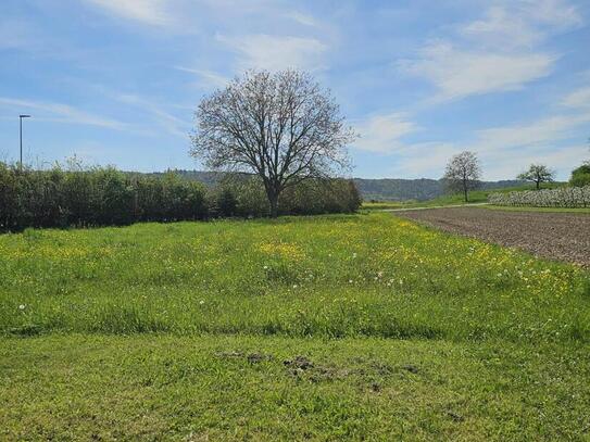 Naturnahes Baugrundstück an der Schweizer Grenze - Hier wartet ein neues Zuhause auf Sie!