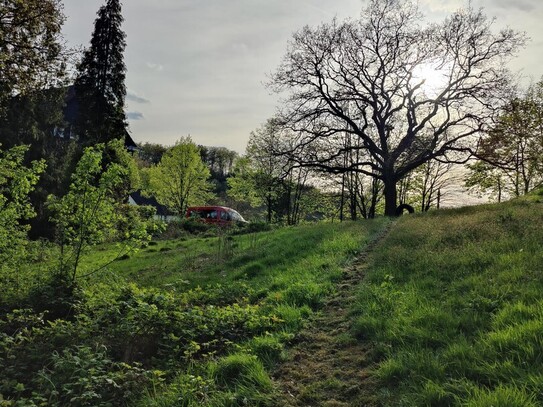 Baugrundstück als großzügige Baulücke, mitten im Grünen, nahe Eschbach-Talsperre