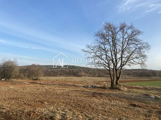 Istrien - Bale, Äußerst wertvolles landwirtschaftliches Land 11.200 m2