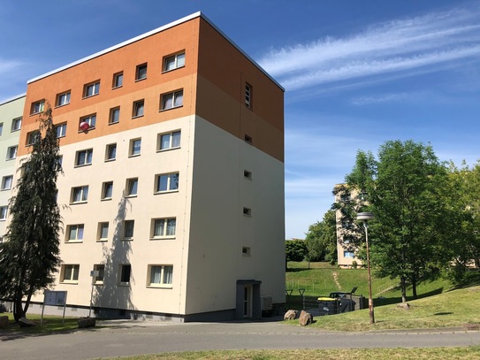 1 Raum Wohnung in Döbeln Nord