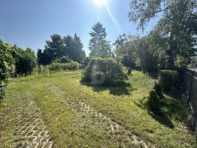 SONNIGES IDYLL IN STADTNÄHE