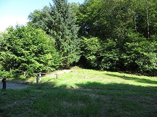 Waldesch, Bauland auf 2432m² Flurstück, gesamt 8326m², ruhig, Bach, Ortsrand, Wald, unverbaubar