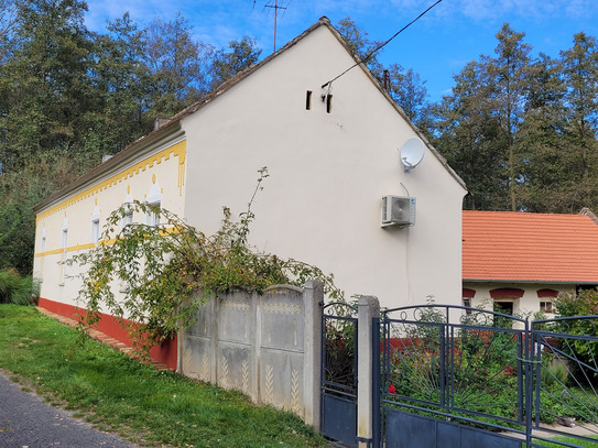 IHR UNGARN EXPERTE Verkauft schönes Forstanwesen mit einem alten Bürgerhaus in Petőmihályfa / Vas