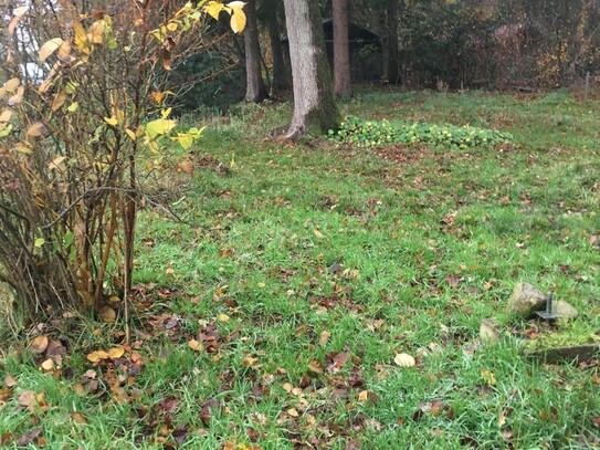 Riesiges Baugrundstück in der Natur