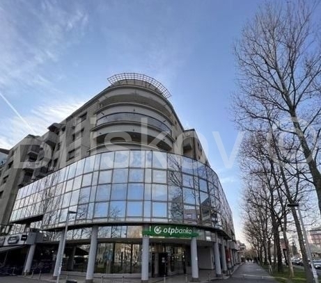 Verkauf, Zagreb, Svetice, Gewerbefläche, gute Investition, 529,28 m²