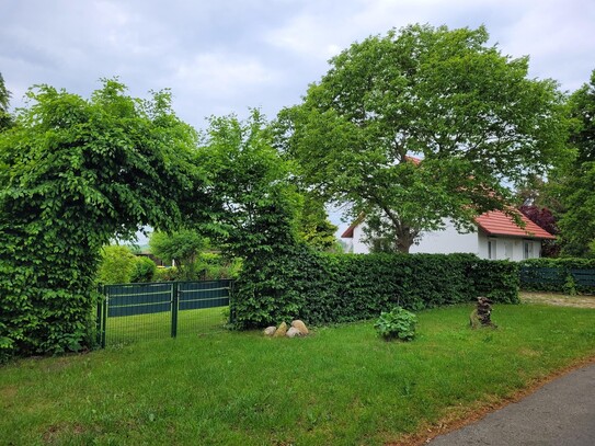 EFH und Blockhaus in Alleinlage. Ribnitz-Damgarten