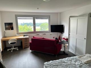 Möblierte Wohnung mit Rheinblick in Köln Nippes!