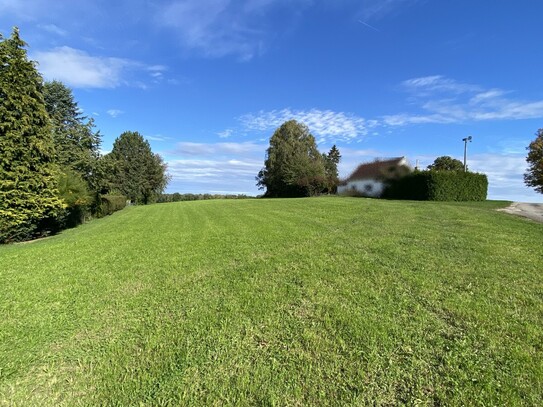 Baugrundstück mit Wiese in Neu-Ulm/Holzschwang