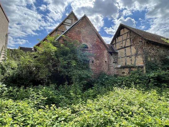 Sanierungsbedürftige Hofreite Babenhausen-Langstadt, z.B. Mehrgenerationen-Wohnen, Wohnen + Arbeiten