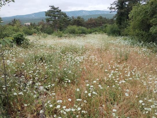 Grundstück Jadranovo, Crikvenica, 4.900m2