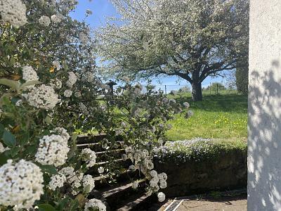 NATUR PUR- AM LANDSCHAFTSSCHUTZGEBIET