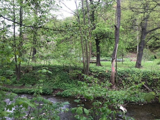 Baugrundstück in zentraler Lage in Werdau mit Blick in den Stadtpark