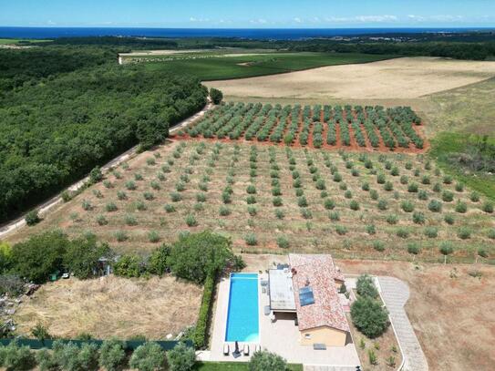 Abgeschiedene Villa mit Meerblick, Novigrad