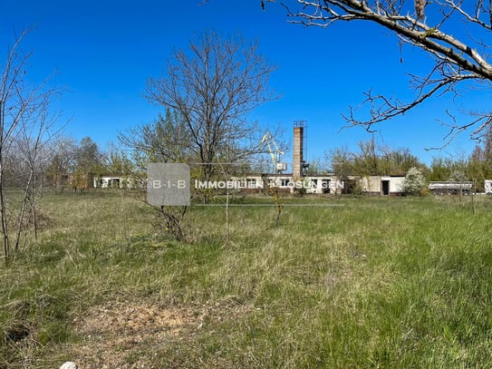 ca. 79.600m² mit vielen Nutzungsmöglichkeiten in Eisenhüttenstadt