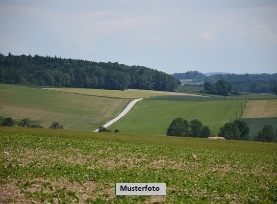 +++ Land- und Forstwirtschaftsfläche +++