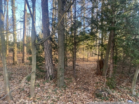 Schönes Baugrundstück in Moritzburg im OT Friedewald