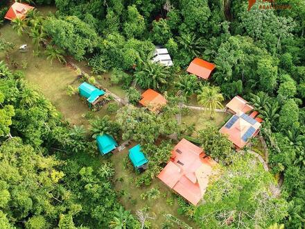 COSTA-RICA: einzigartiges Dschungel-Eco-Hotel in Drake Bay